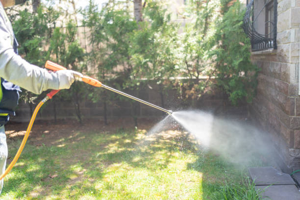 Best Pest Prevention Services  in Troy, MI